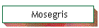 Mosegris